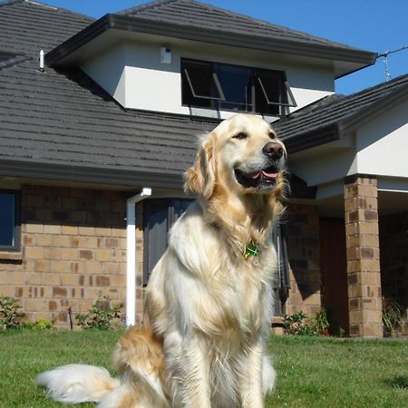 Ohuka Place Homestay Whitianga Eksteriør bilde