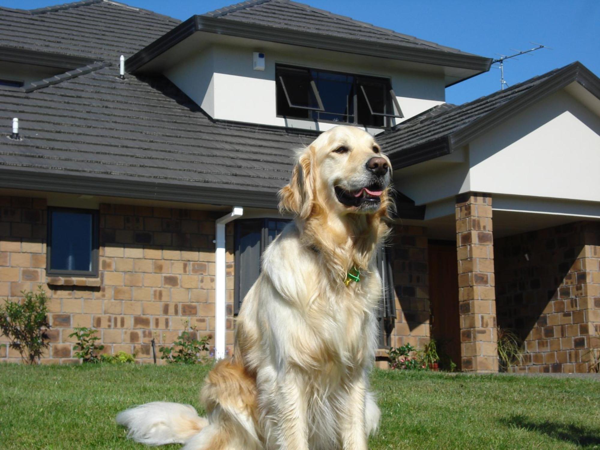 Ohuka Place Homestay Whitianga Eksteriør bilde