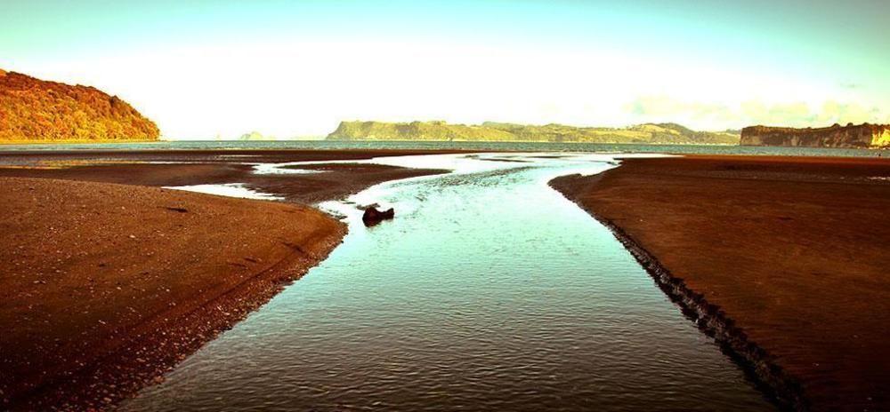 Ohuka Place Homestay Whitianga Eksteriør bilde