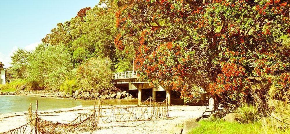 Ohuka Place Homestay Whitianga Eksteriør bilde